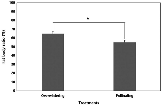 Fig. 1. Fig. 1.