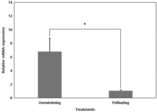 Fig. 3. Fig. 3.
