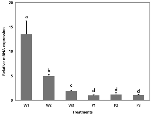 Fig. 4. Fig. 4.
