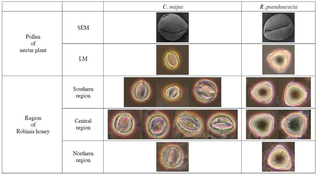 Fig. 4. Fig. 4.