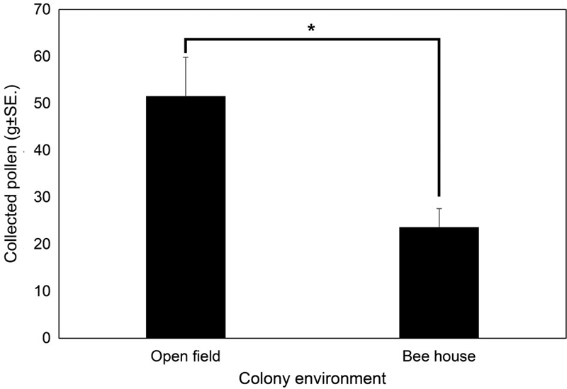 Fig. 3. Fig. 3.