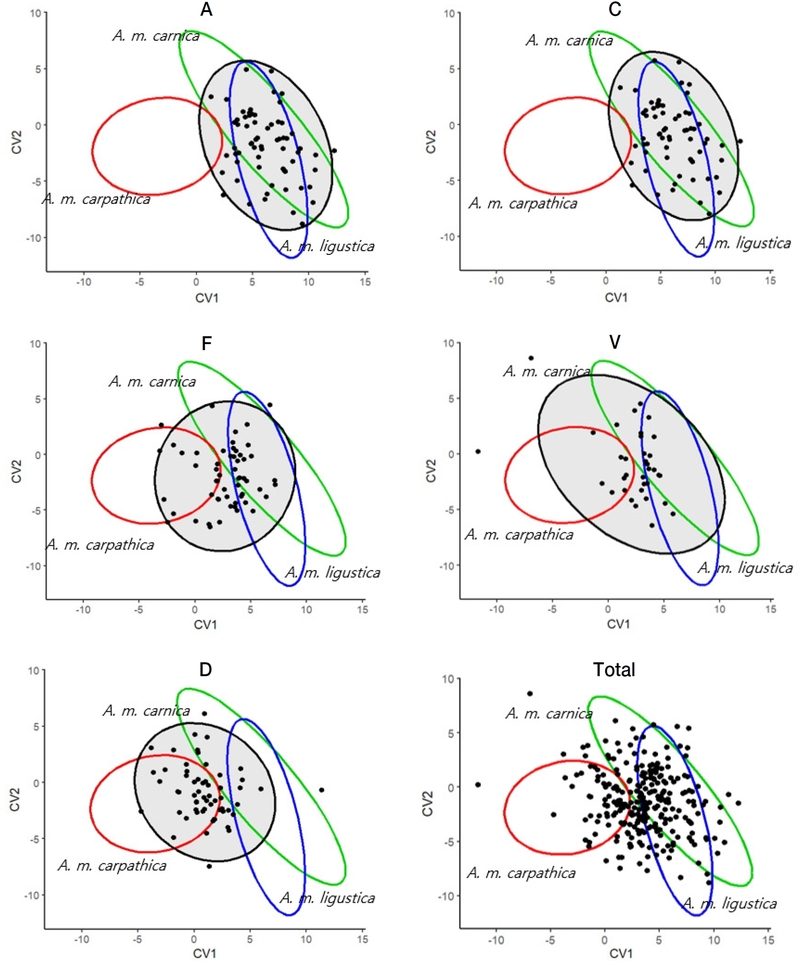 Fig. 7.