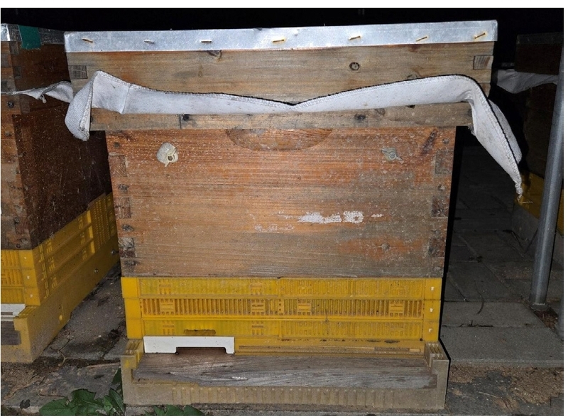 Fig. 1. Fig. 1.