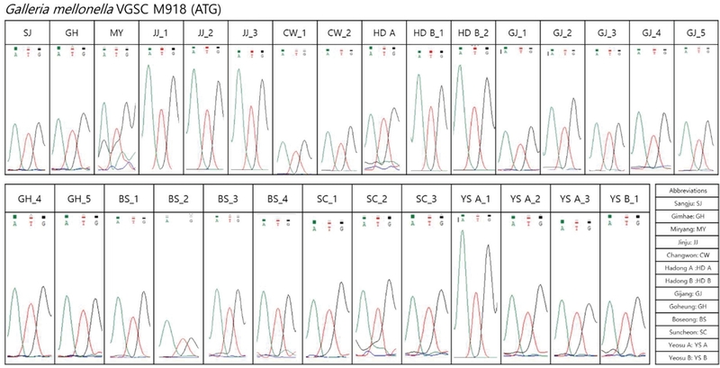 Fig. 6.